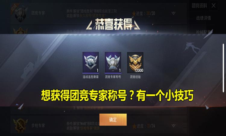 和平精英团竞专家称号