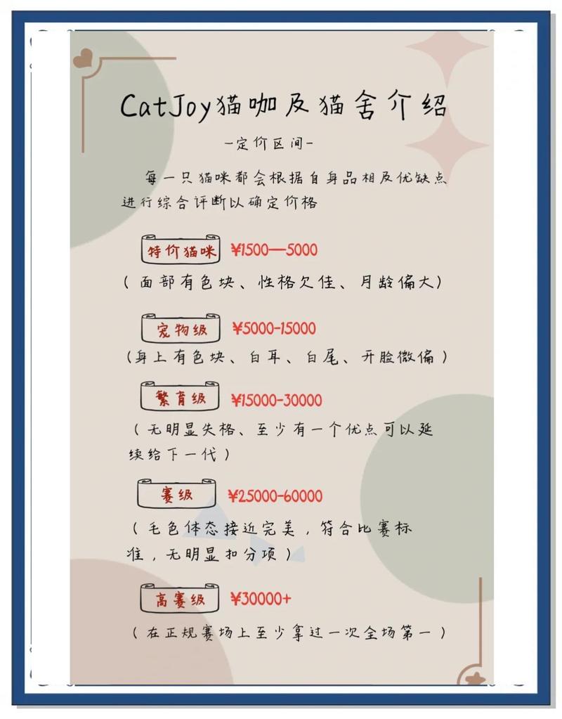 占星猫原价多少
