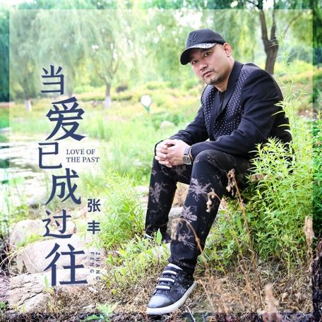 张丰最厉害的三首歌