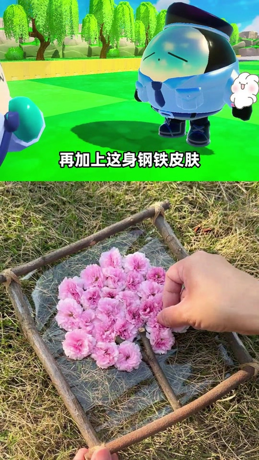 浪哥秀儿打植物大战僵尸