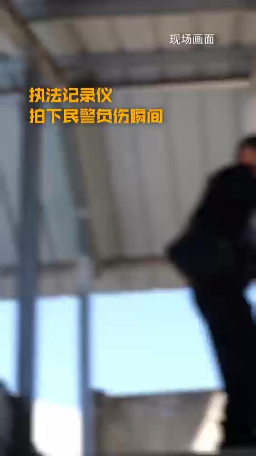 缉毒警坠楼昏迷警犬等待百天