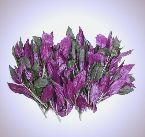 紫色蔬菜30种图片
