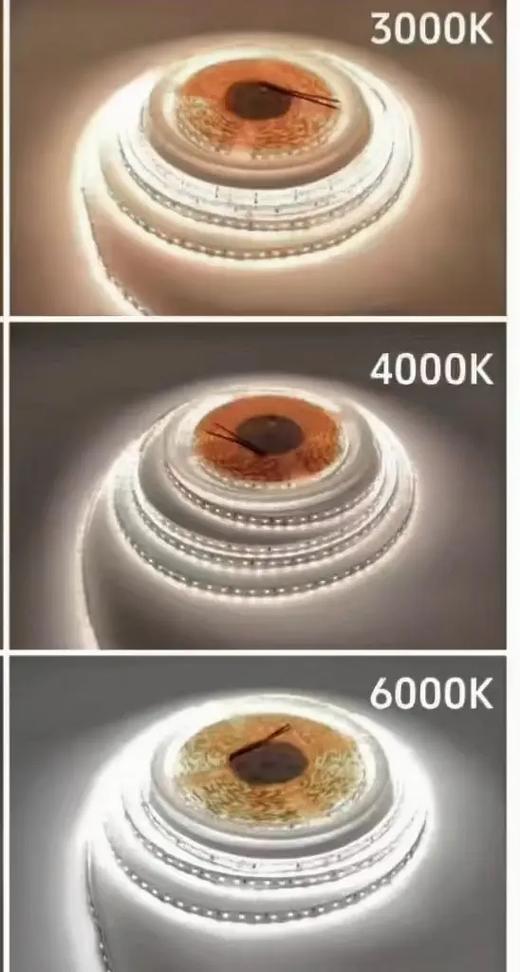 手机里的色温是什么