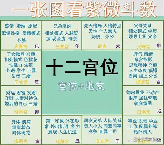 什么是紫薇星命格