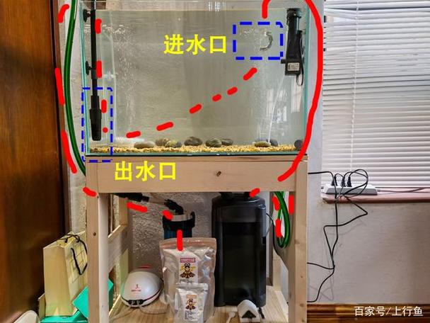 鱼缸水泵两个出水口怎么接