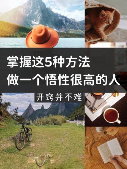提悟性的方法有哪些