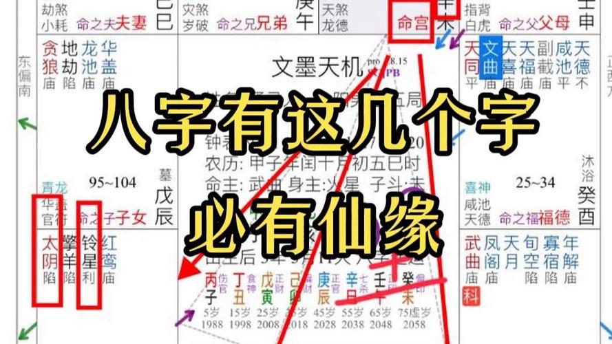 几月出生身上带仙缘
