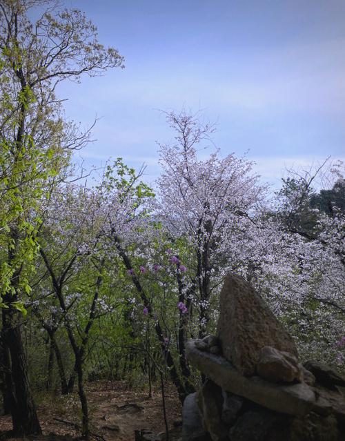 镜子山:山如明镜,登山望远