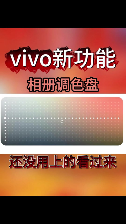 vivox300s调色盘在哪里