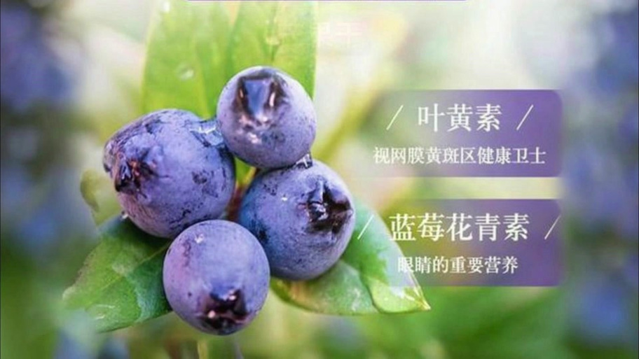 光脚踩蓝莓