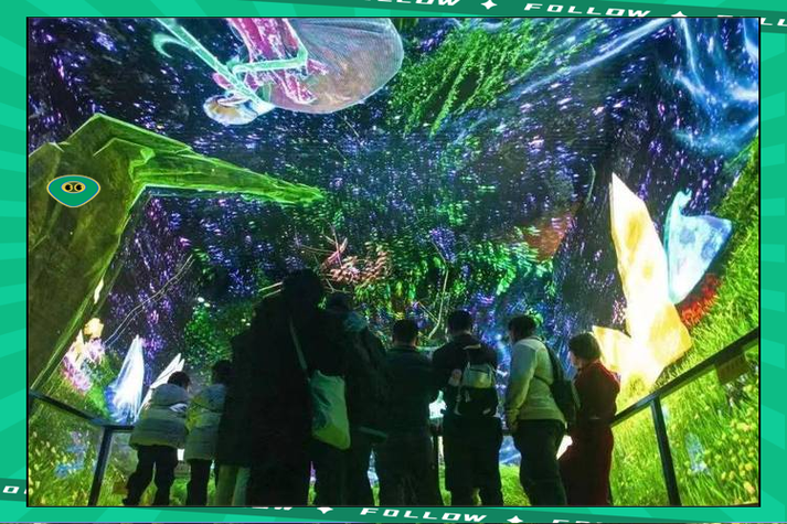 梦幻西游和梦幻西游2