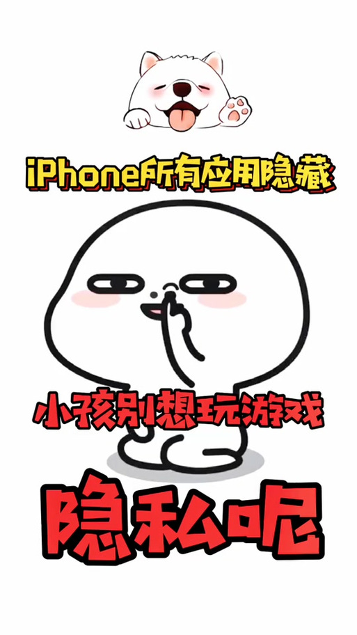 ipad有隐私空间吗
