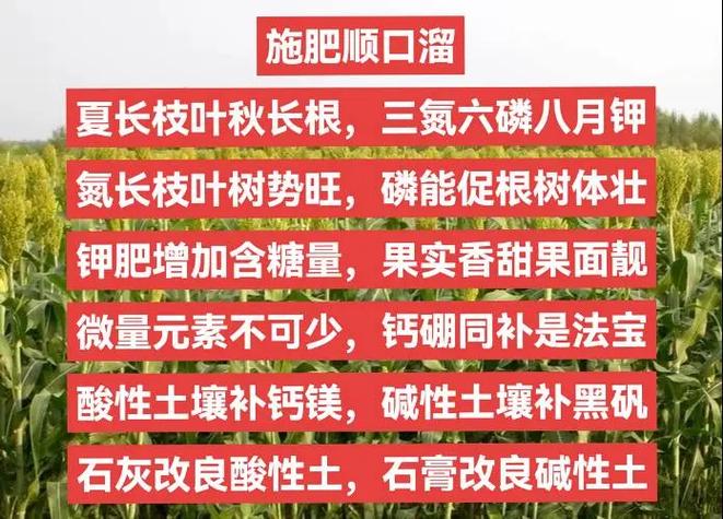 农民种地顺口溜