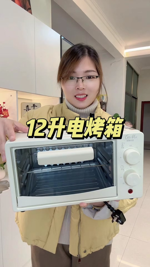 荣事达电烤箱使用视频