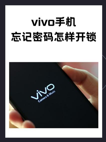 vivo手机忘记加密应用密码怎么办