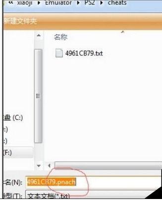 小鸡模拟器nds金手指怎么用