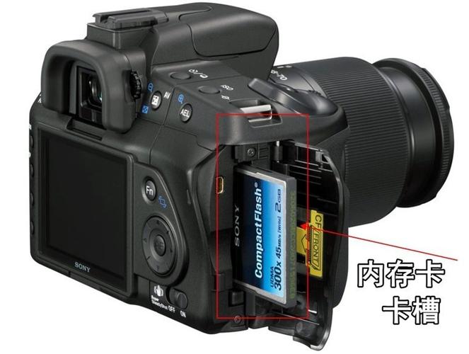 佳能ds126131数码相机参数