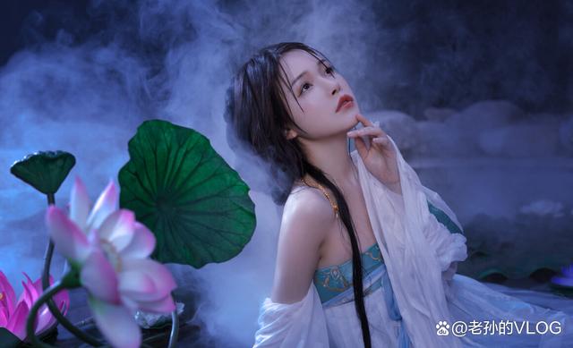 仓鼠古风写真