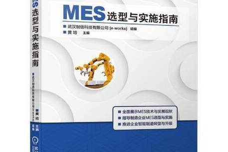 mes是什么意思