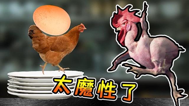 母鸡护蛋模拟器