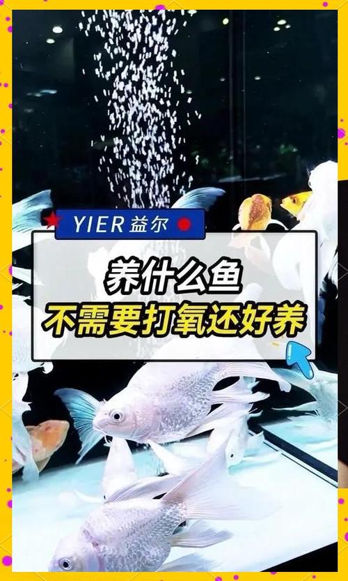 鹦鹉鱼多久没氧气
