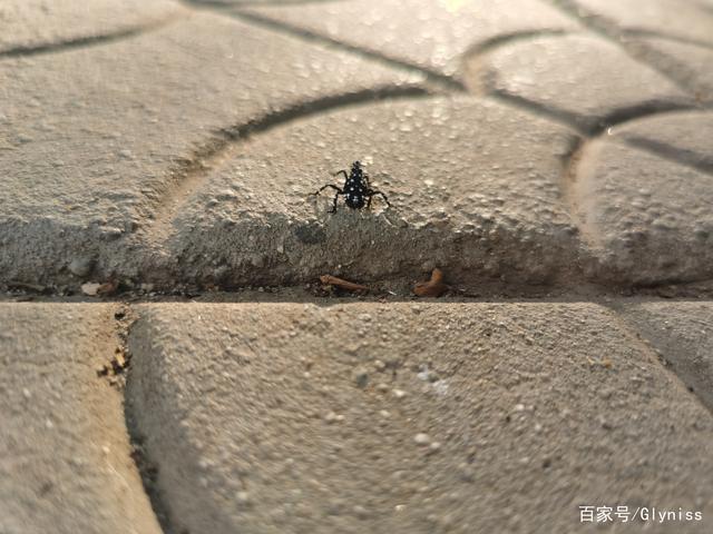 vivo手机怎么和华为手机互传