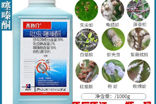 蚧壳虫打什么药最管用