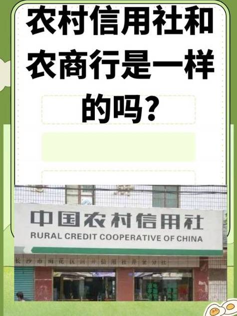 农村信用社收不到短信怎么回事