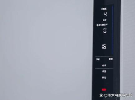 西门子冰箱报警2个红字