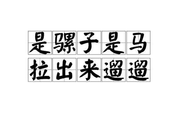 是骡子是马拉出来