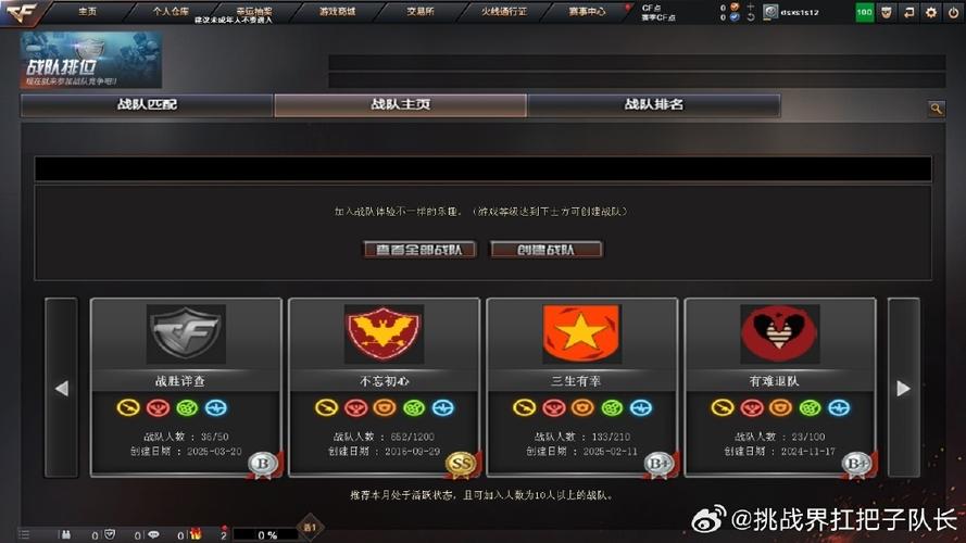 cf战队徽章不显示的原因