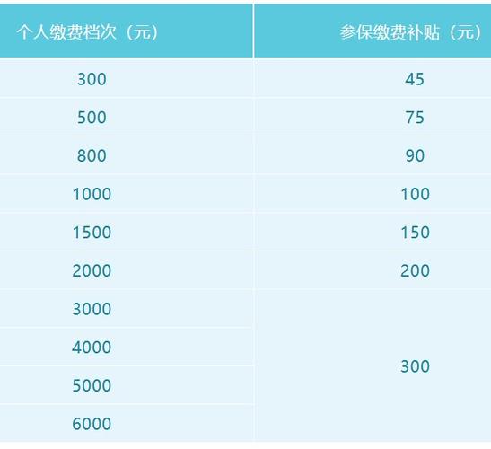 2025养老缴费价格表