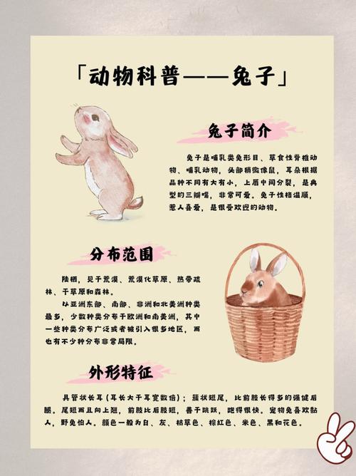 我的世界兔子在哪里