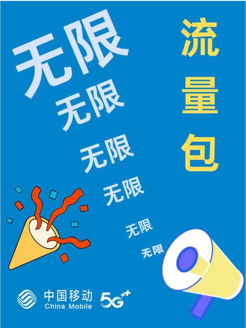 怎么能取消100G流量限制