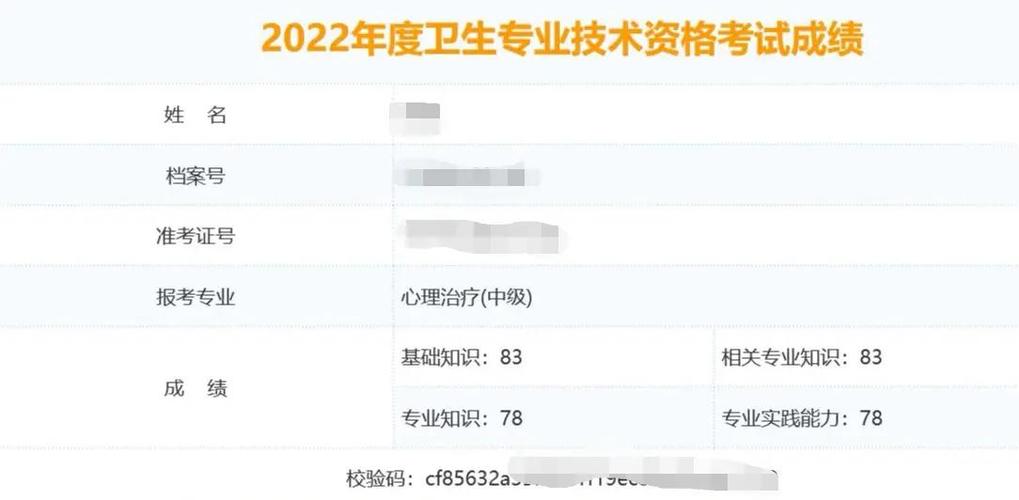 湖南卫生计生人才网副高成绩查询