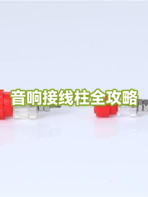 音箱接线柱怎么接线