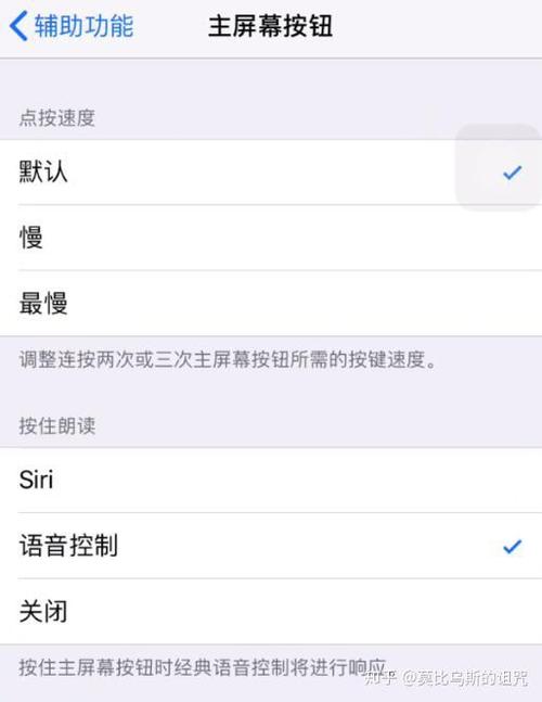 苹果手机上面显示一个麦克风