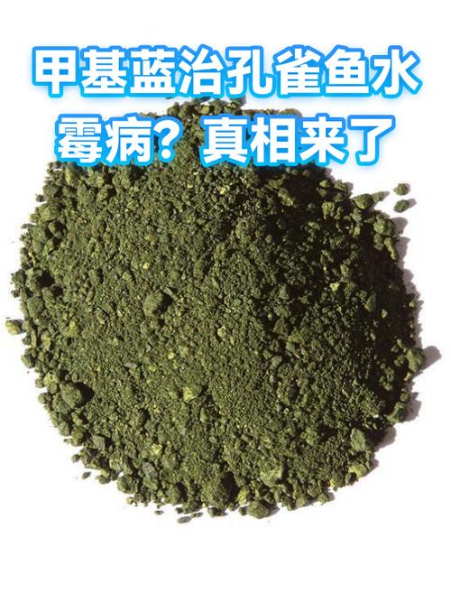甲基蓝治疗什么鱼病