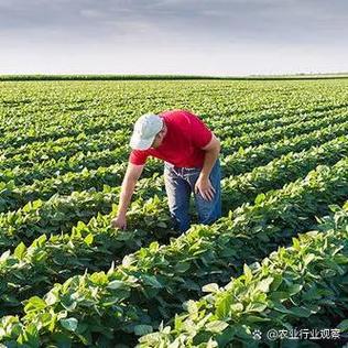 明年农民最吃香的出路