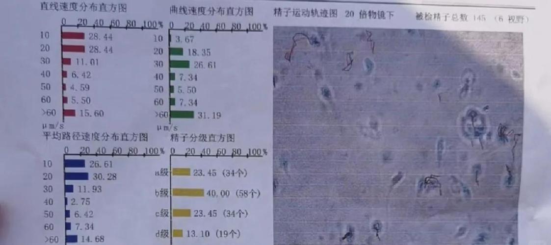 精子产生速度
