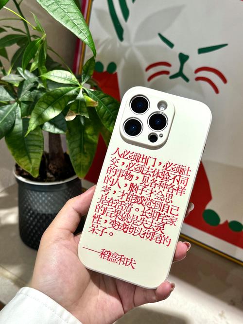 手机壳最火文案短句