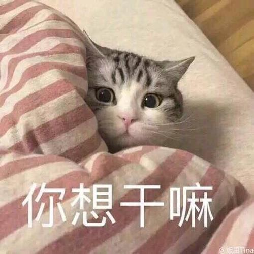 你想干嘛怎么幽默回答