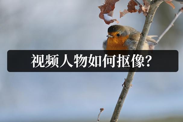 抠像