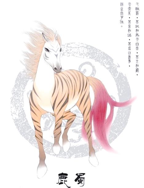 鹿多少钱一只