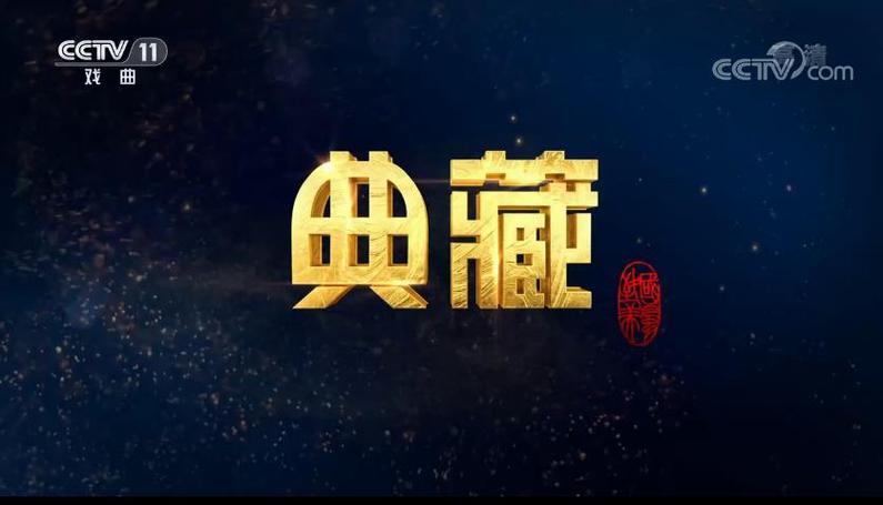 中央电视台的主要频道