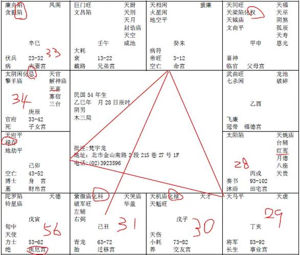 紫微斗数看当官级别