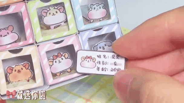 小仓鼠养不活的原因