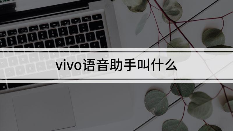 vivo喊什么出语音