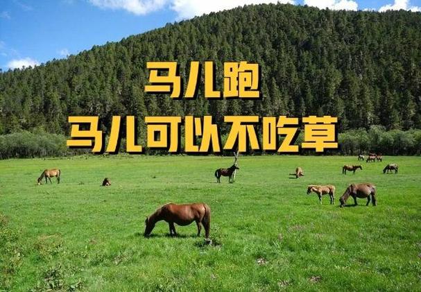 让马不跟着自己到处跑的攻略