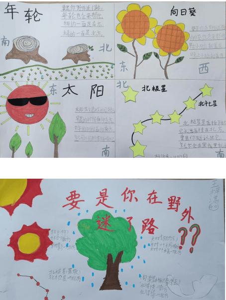二年级大自然的指南针